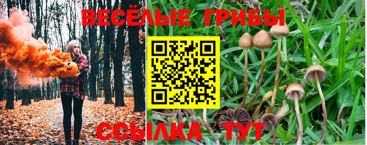 Выкса  Галлюциногенные грибы прущие грибы  Псилоцибиновые грибы MAGIC MUSHROOMS  Вход с VPN 