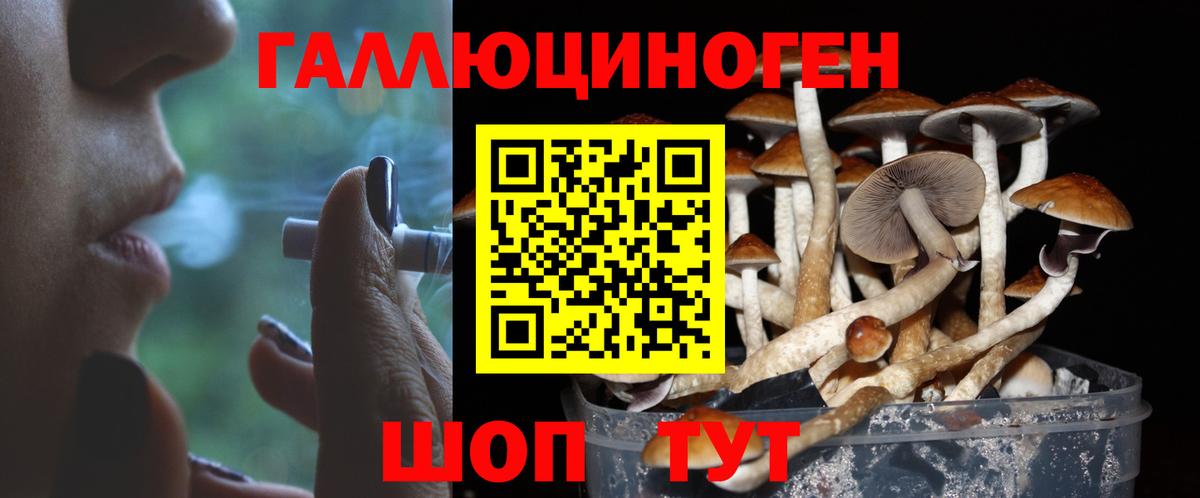 Псилоцибиновые грибы MAGIC MUSHROOMS Выкса